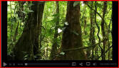 video of belize
