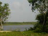 Easement between 1184 and 1185 (formerly 134 and 135)